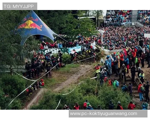 世界杯新闻和平精英评论：IG战队反击之路的胜利与失误分析
